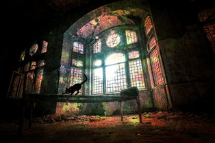 Jiuyou-场景还原:世俱杯现场的现场氛围,世俱杯球场