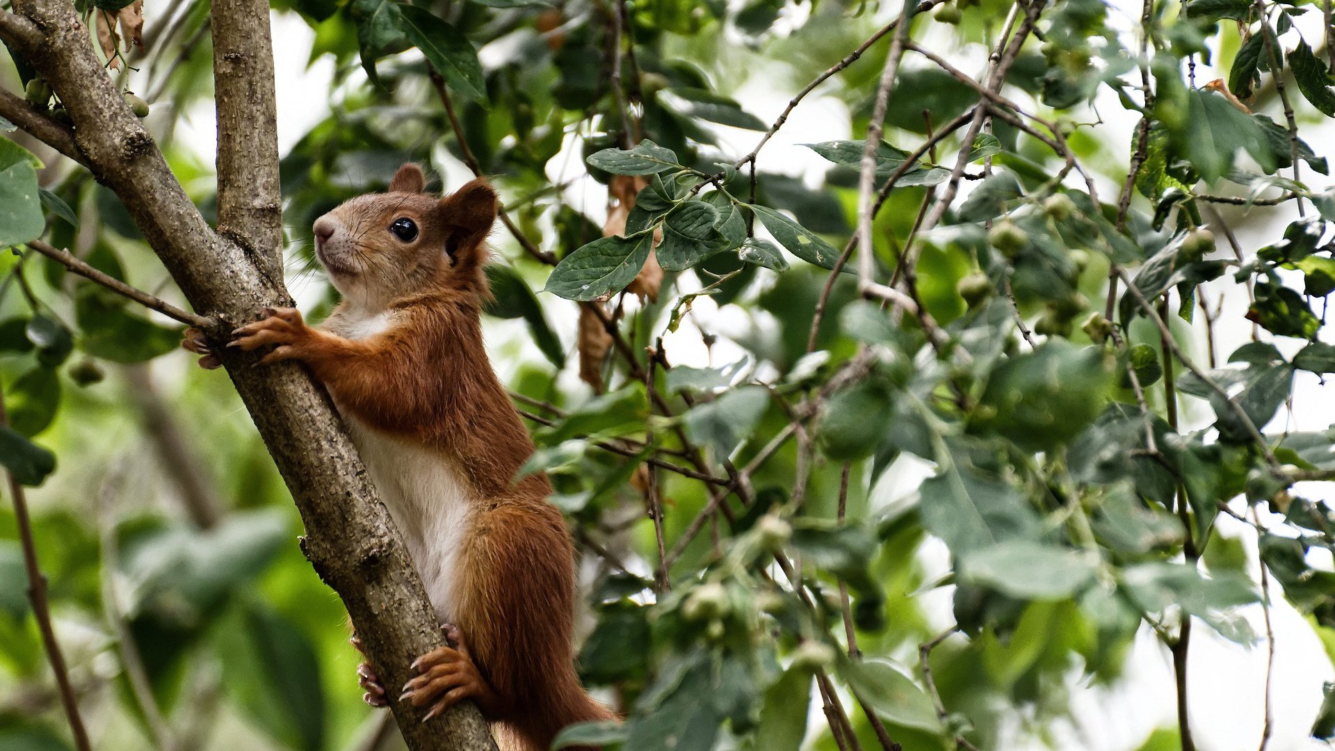 详细阅读:九游网游官网-NBA球员训练强度科学管理,nba球员训练时间 九游网游官网-NBA球员训练强度科学管理,nba球员训练时间
