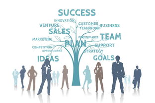 中国九游体育-中国篮球联赛赛事组织效率优化策略探讨,全国篮球联赛优势