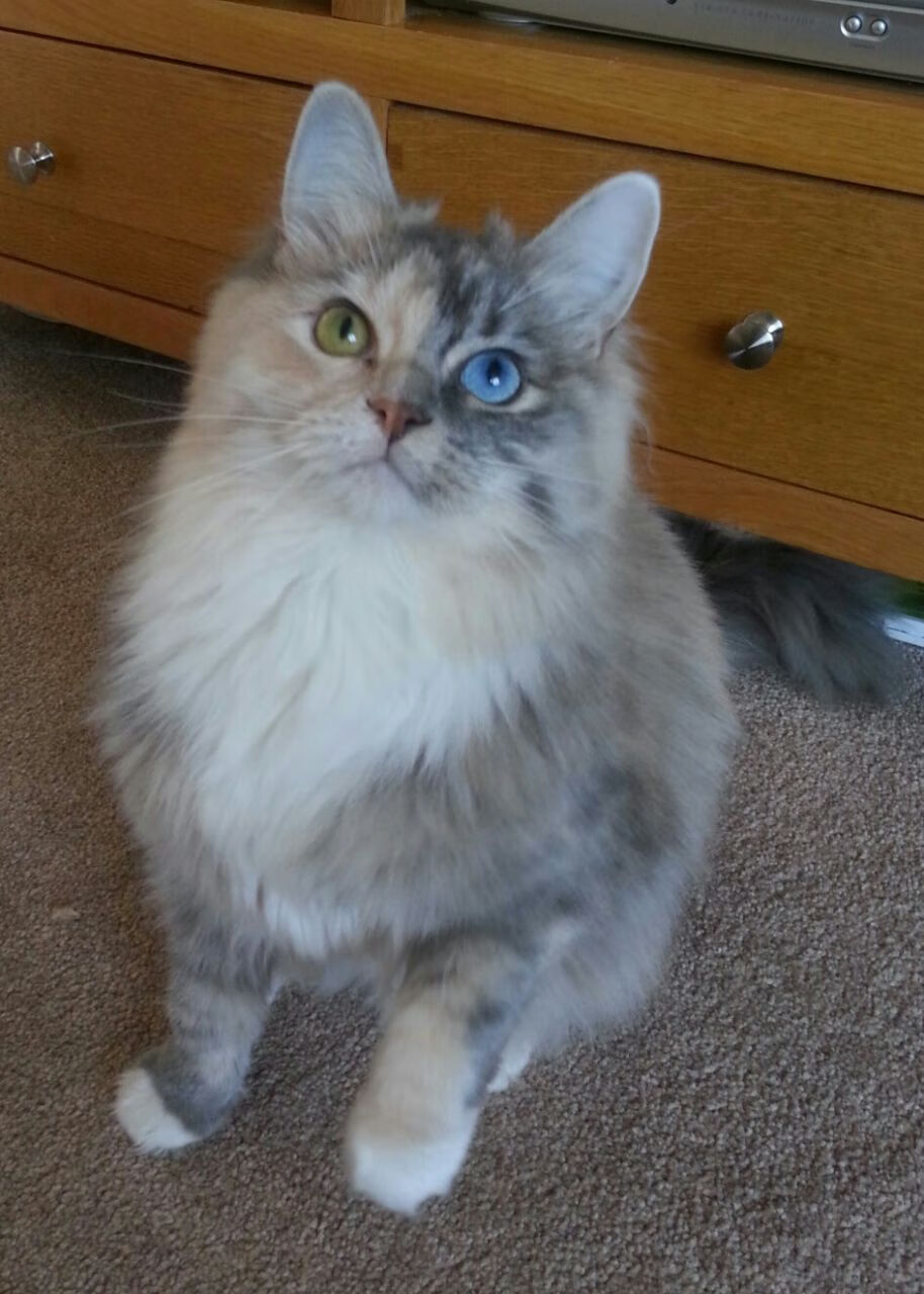 九游游戏在线玩-中超外援实际贡献值与薪资比对分析,中超外援水平