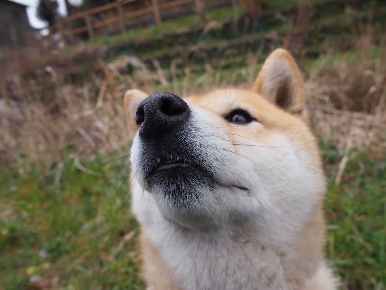 九游在线玩-体育赛事品牌传播策略，体育赛事营销传播
