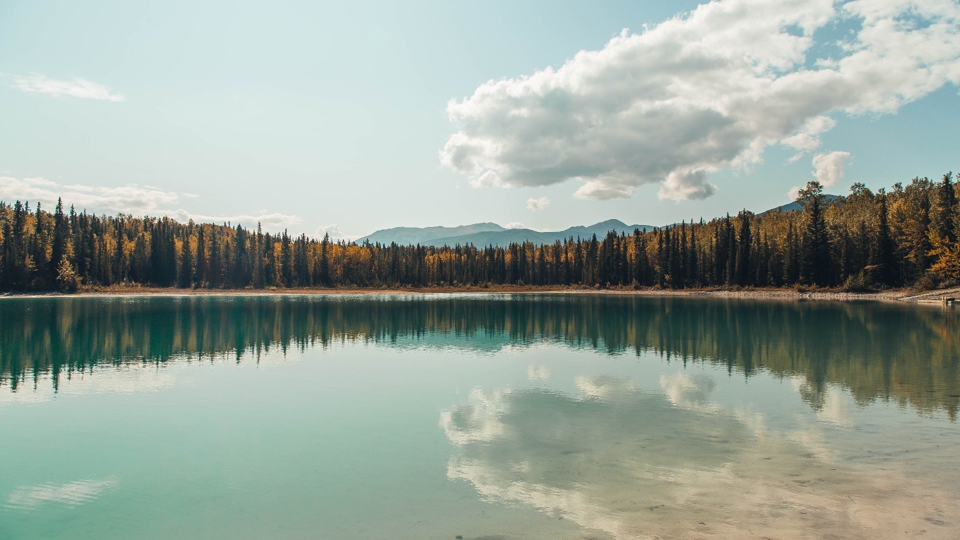 九游娱乐app下载-体育赛事安全风险管理，体育赛事风险类型及防控措施