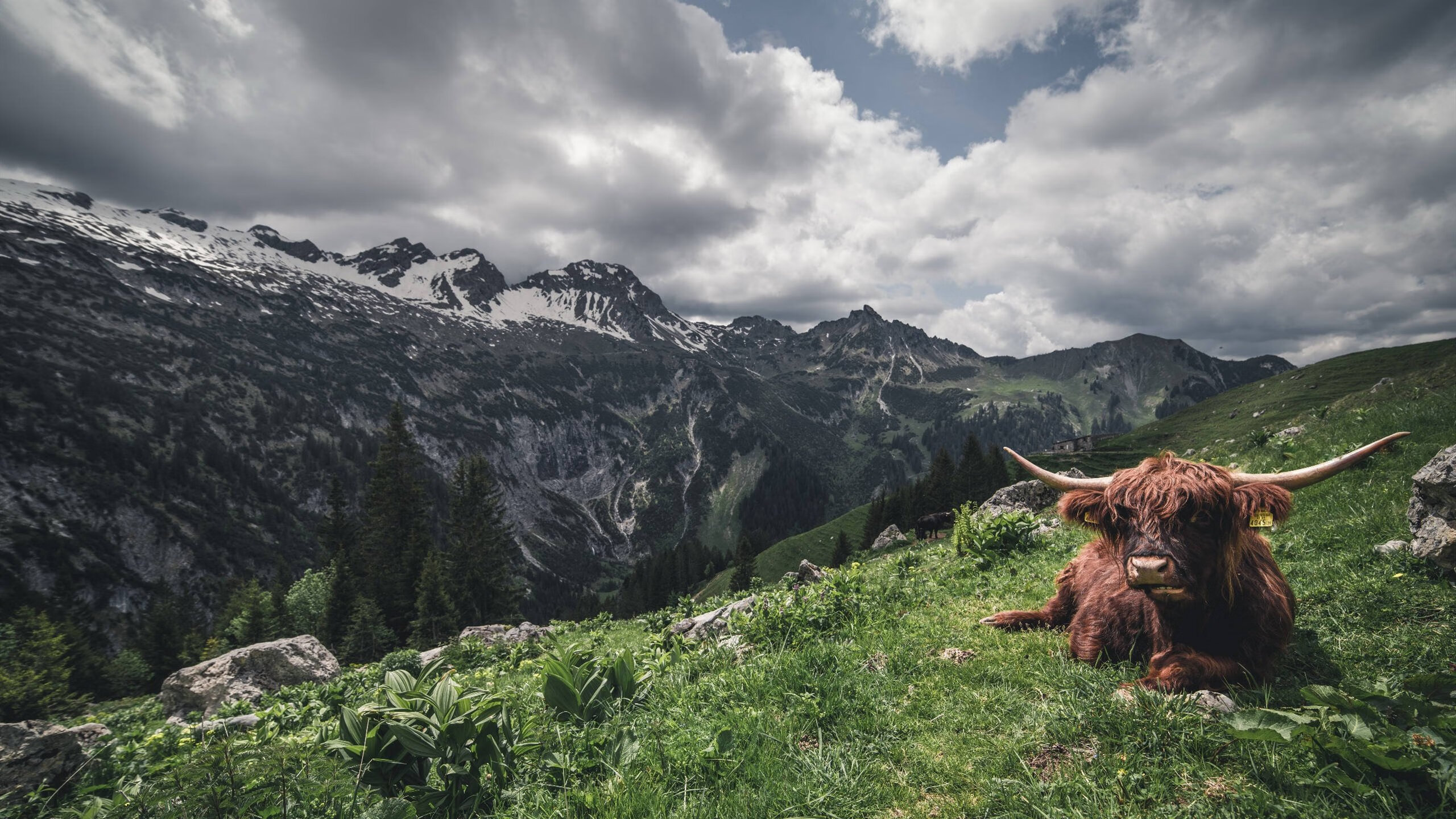 九游网游官网-德甲球队视频分析提升防守站位调整效率的实证，德甲对抗